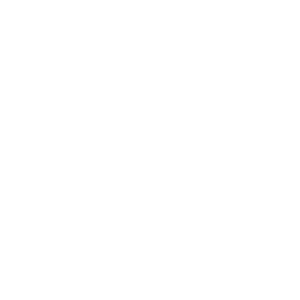 Lighthouse Advisors